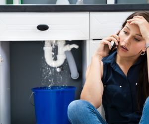 About Emergency plumbing pros Berrien Center, MI